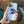 Load image into Gallery viewer, Readers + At the Beach Universal Pod
