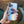 Load image into Gallery viewer, Readers + At the Beach Universal Pod
