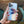 Load image into Gallery viewer, Readers + At the Beach Universal Pod

