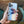 Load image into Gallery viewer, Readers + At the Beach Universal Pod
