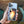 Load image into Gallery viewer, Readers + Wind in Your Sail Universal Pod
